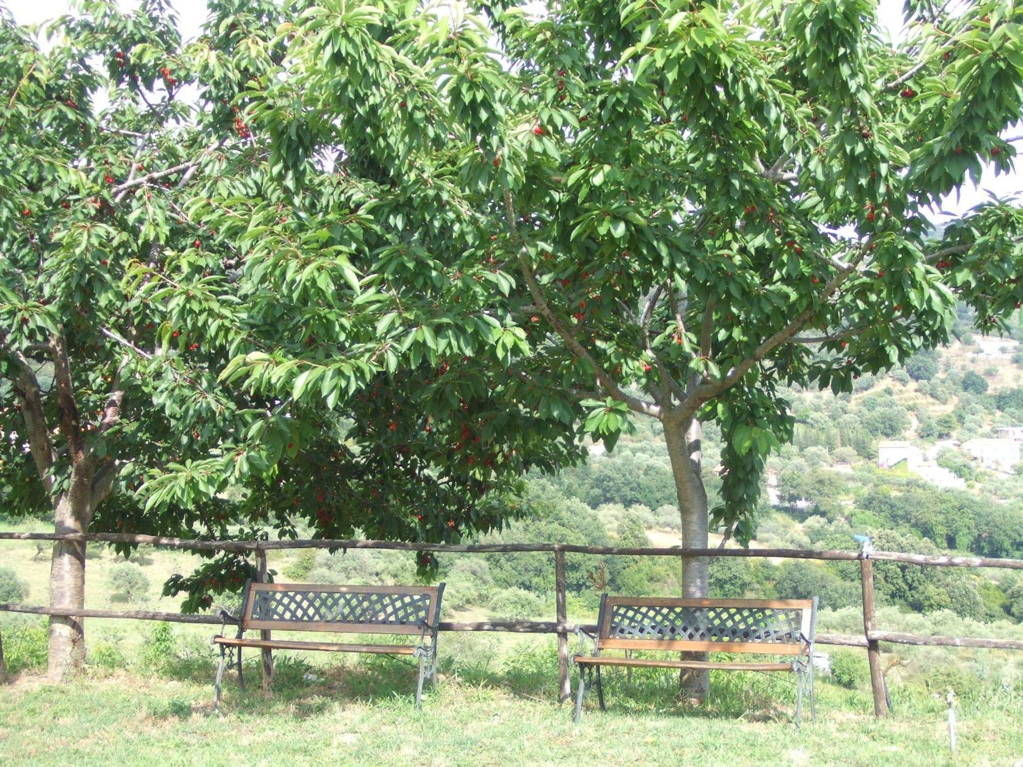 Villa Le Torrette Agropoli Εξωτερικό φωτογραφία